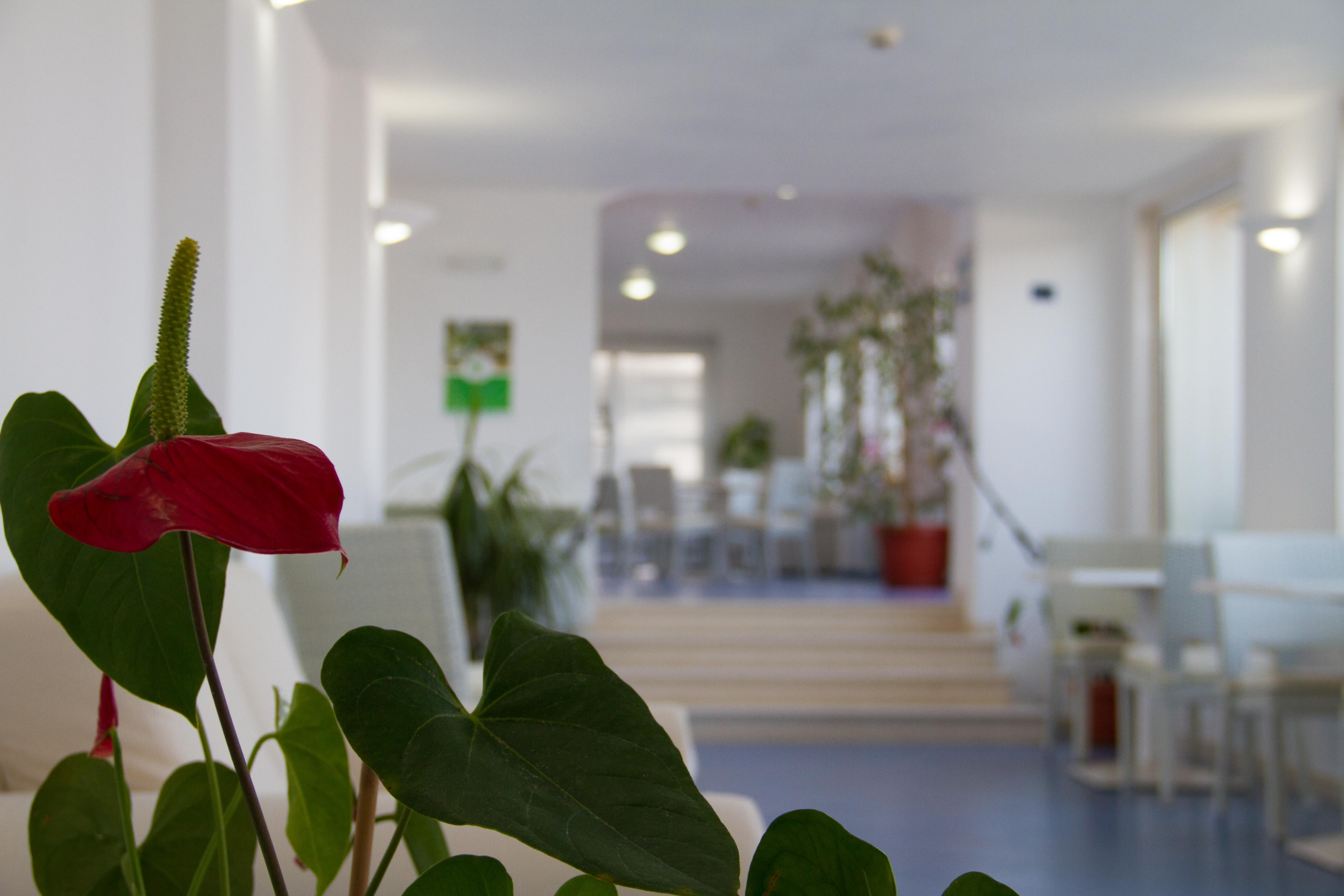 Hotel La Sorgente Savelletri Luaran gambar